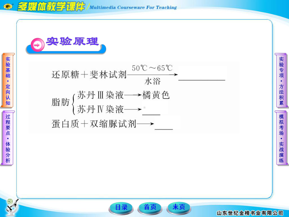 1.2.实验.ppt_第3页