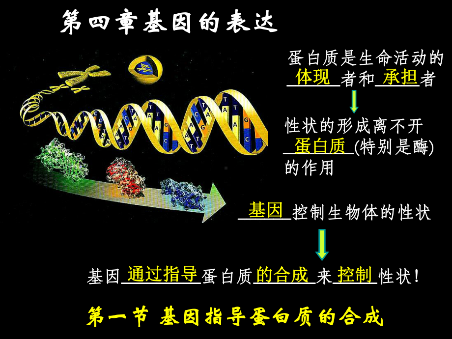 基因表达一轮复习课课件.ppt_第1页