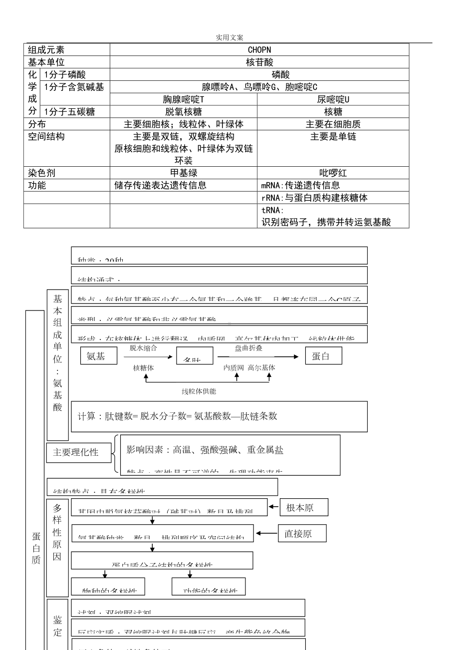 高中生物必修一知识点总结材料复习提纲非常全面清晰概念图(DOC 13页).doc_第3页