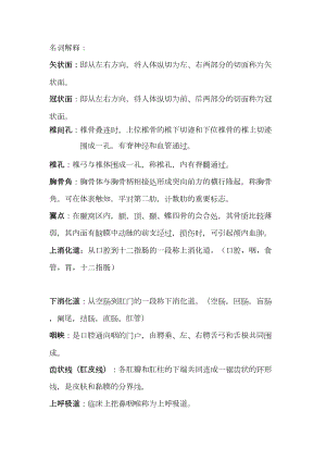 解剖总复习资料(DOC 23页).doc