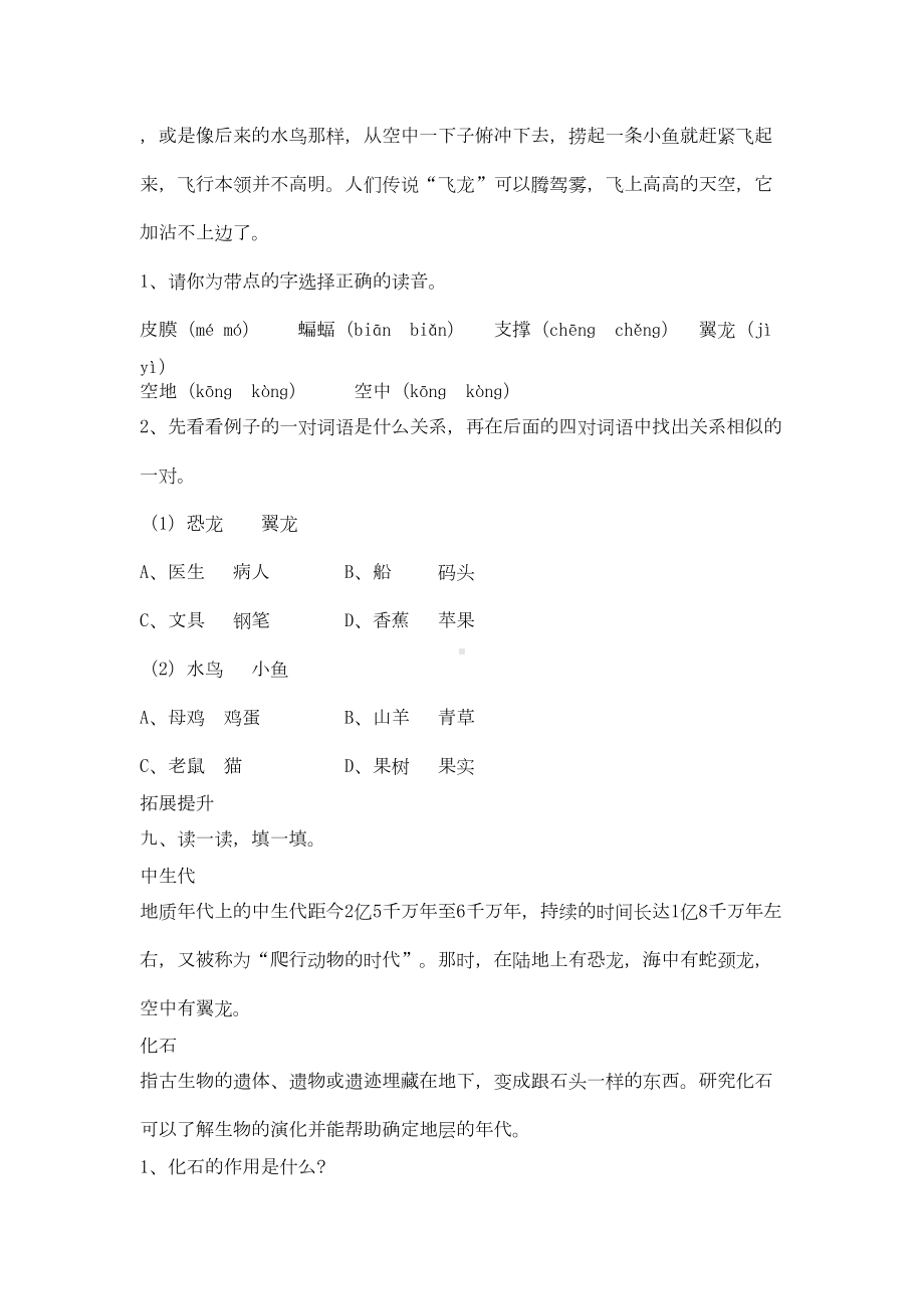 飞向蓝天的恐龙练习题4(DOC 4页).doc_第3页