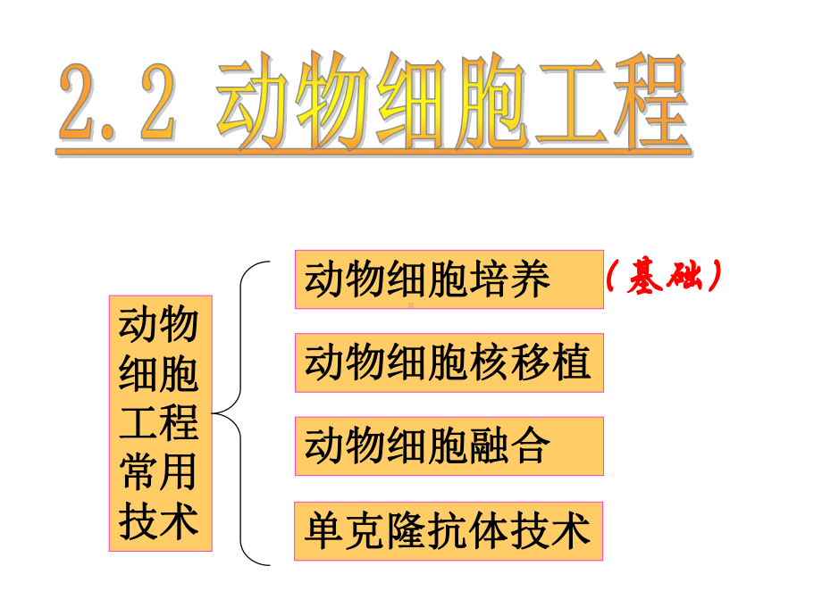 动物细胞培养和核移植技术新医学课件.ppt_第1页