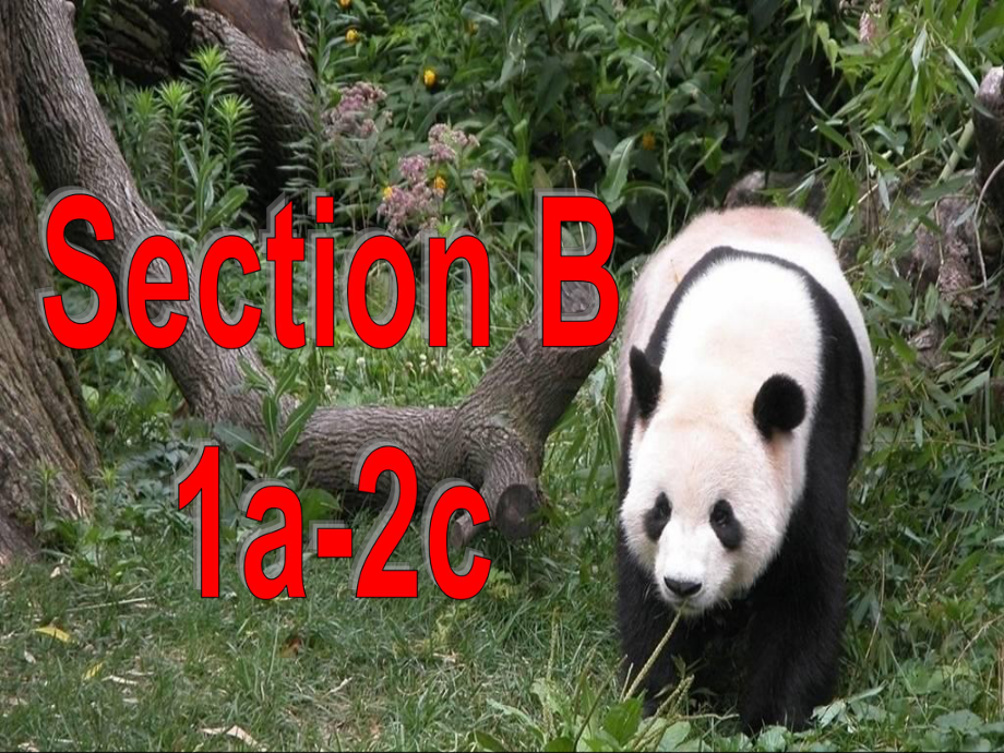 新目标英语七年级下册unit5SectionBP课件.ppt_第2页