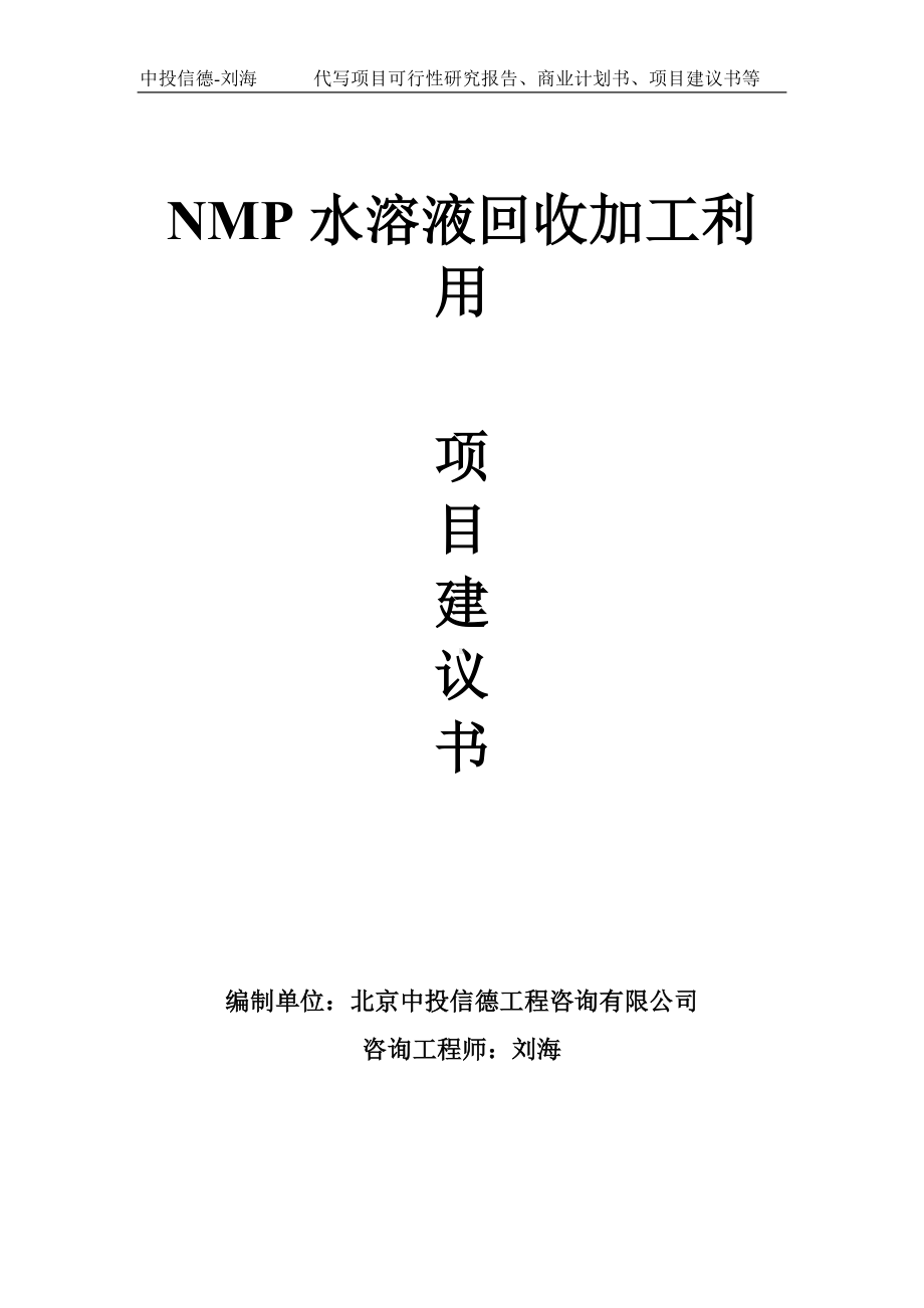 NMP水溶液回收加工利用项目建议书-写作模板.doc_第1页