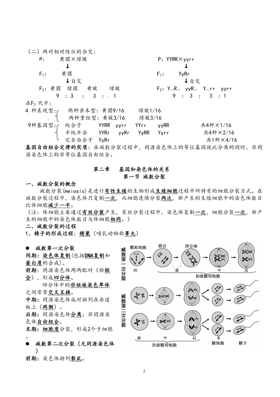 高中生物必修二知识点总结(人教版复习提纲)期末必备(DOC 13页).doc_第2页