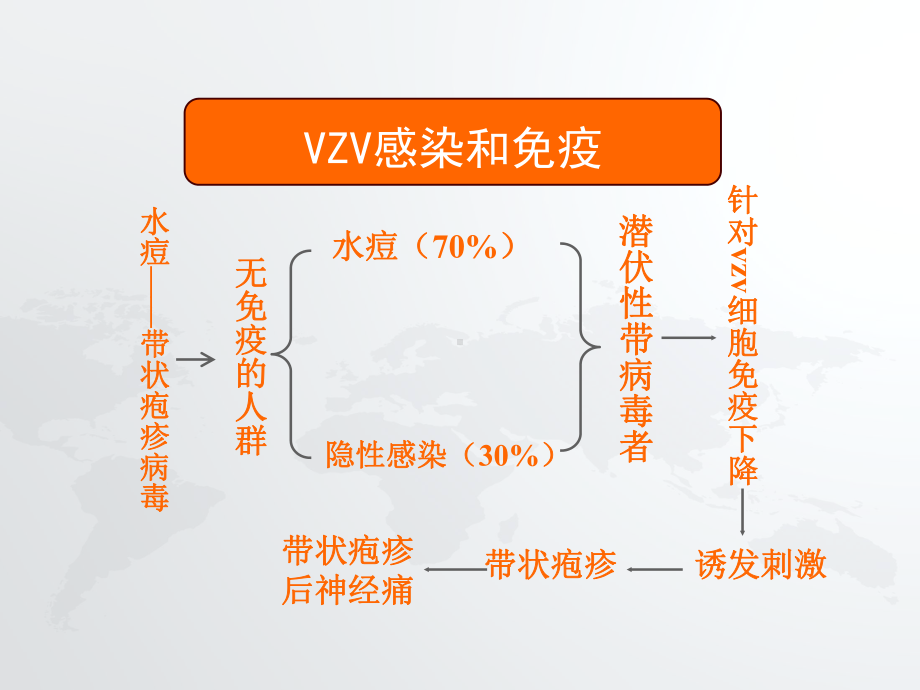 带状疱疹后神经痛的治疗方法和药物选择-课课件.ppt_第3页