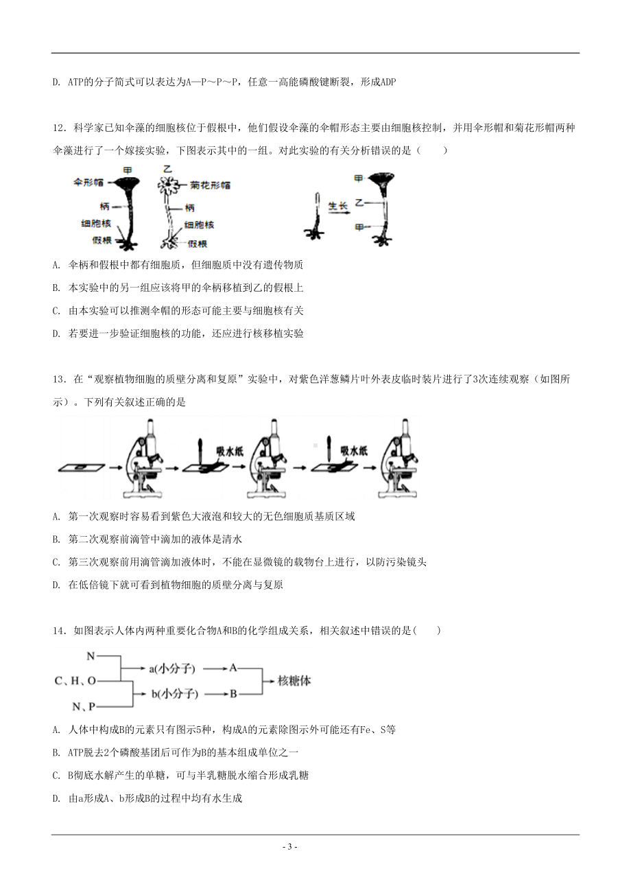 高一上学期期末考试生物试题+Word版含答案(DOC 11页).doc_第3页