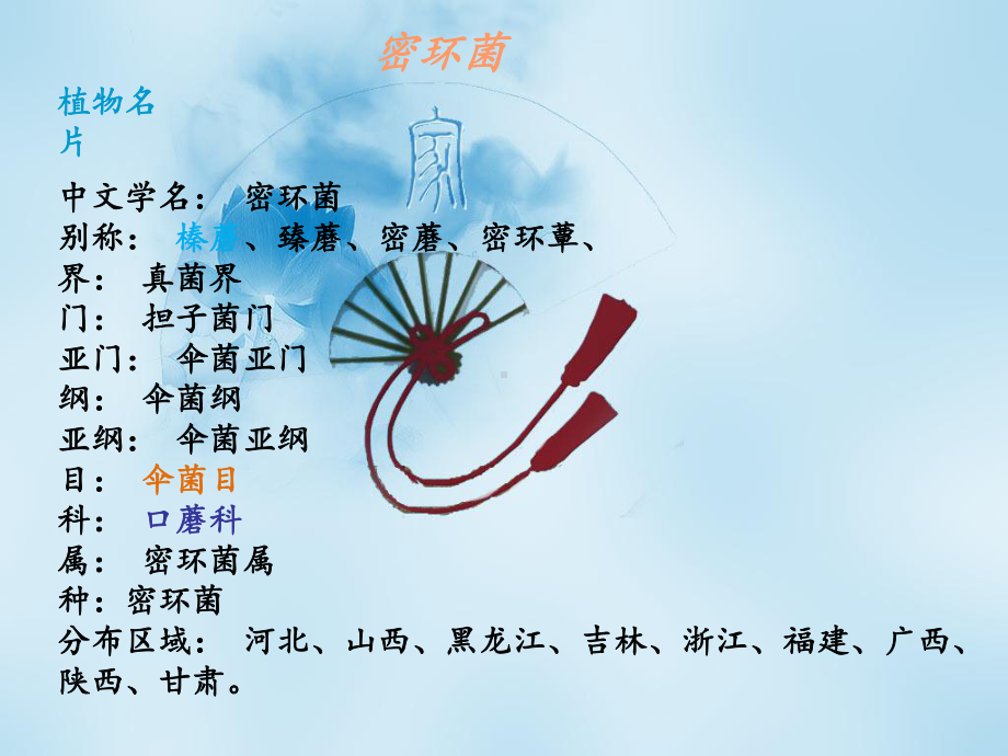 医学密环菌药用菌物学培训课件.ppt_第2页