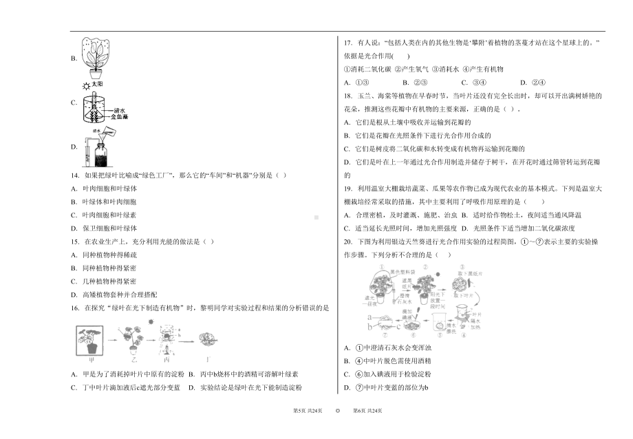 浙教版八年级科学光合作用试卷精选(含答案)1(DOC 15页).docx_第3页