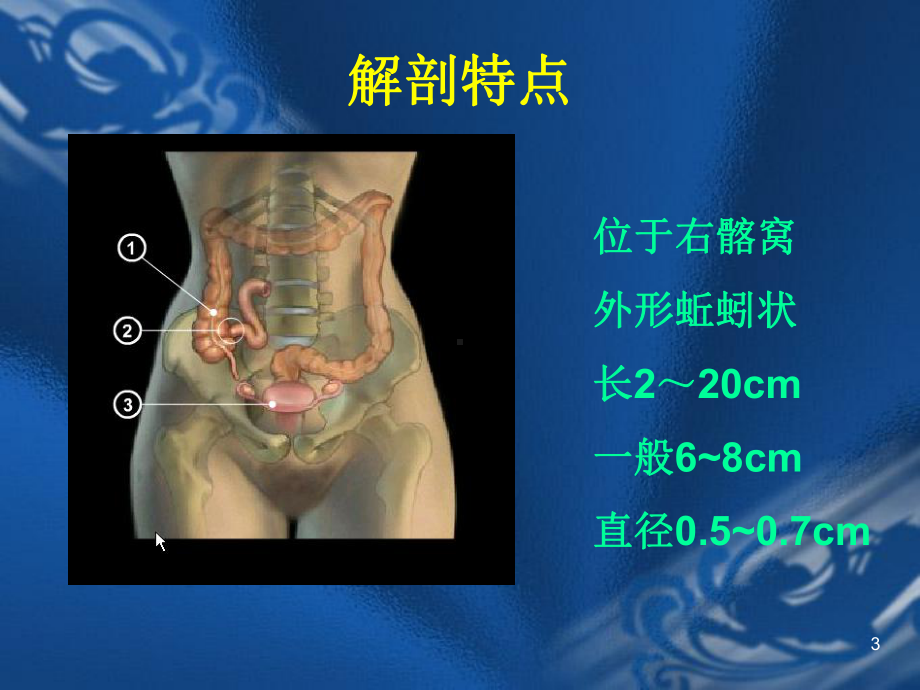 外科学阑尾炎讲义课件.ppt_第3页