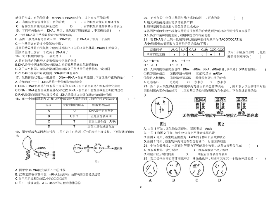 高中生物必修二考试试题(含答案)(DOC 7页).docx_第2页