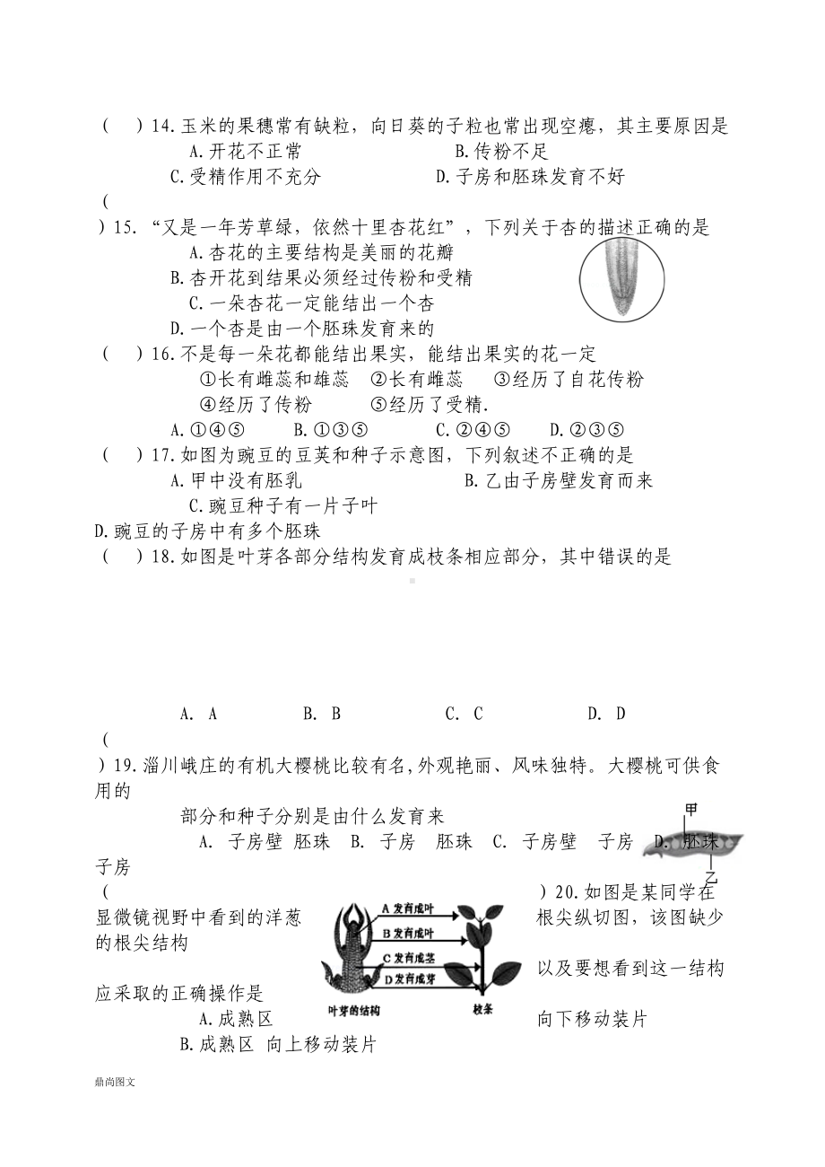 鲁科版五四制生物六下生物期中考试试题(DOC 10页).doc_第3页