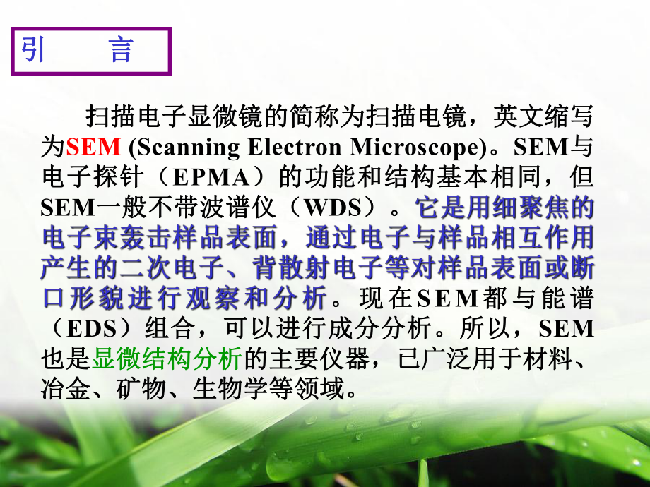 扫描电镜的主要结构主要包括有电子光学系统课件.ppt_第2页