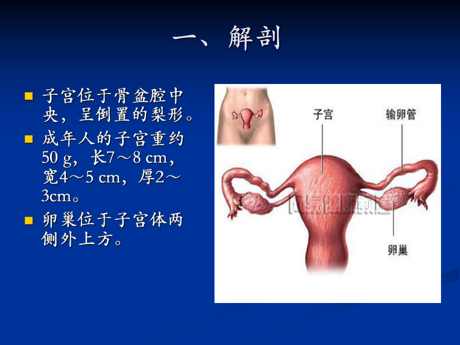 女性生殖系统超声检查讲义课件.ppt_第3页