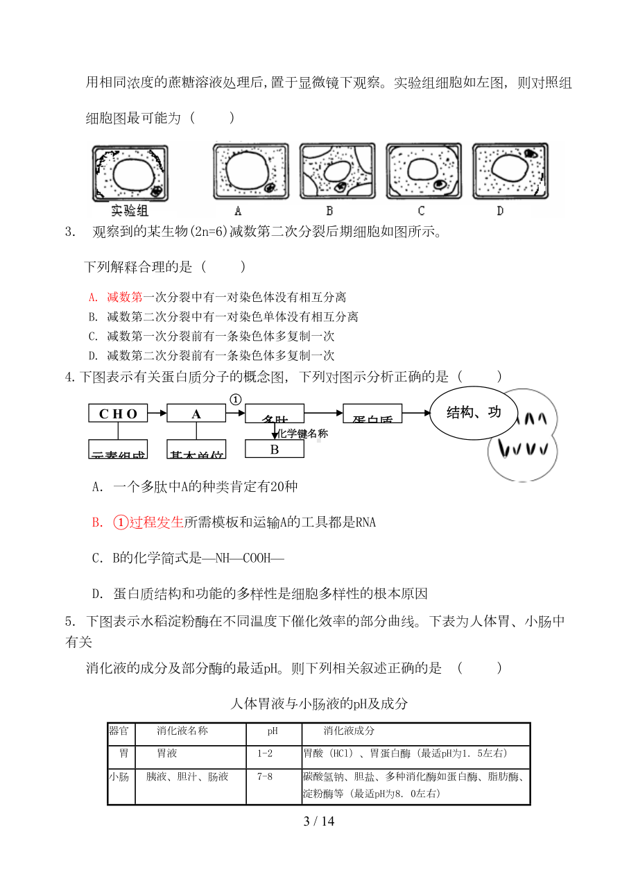 高考理综生物选择题专项训练(DOC 11页).doc_第3页