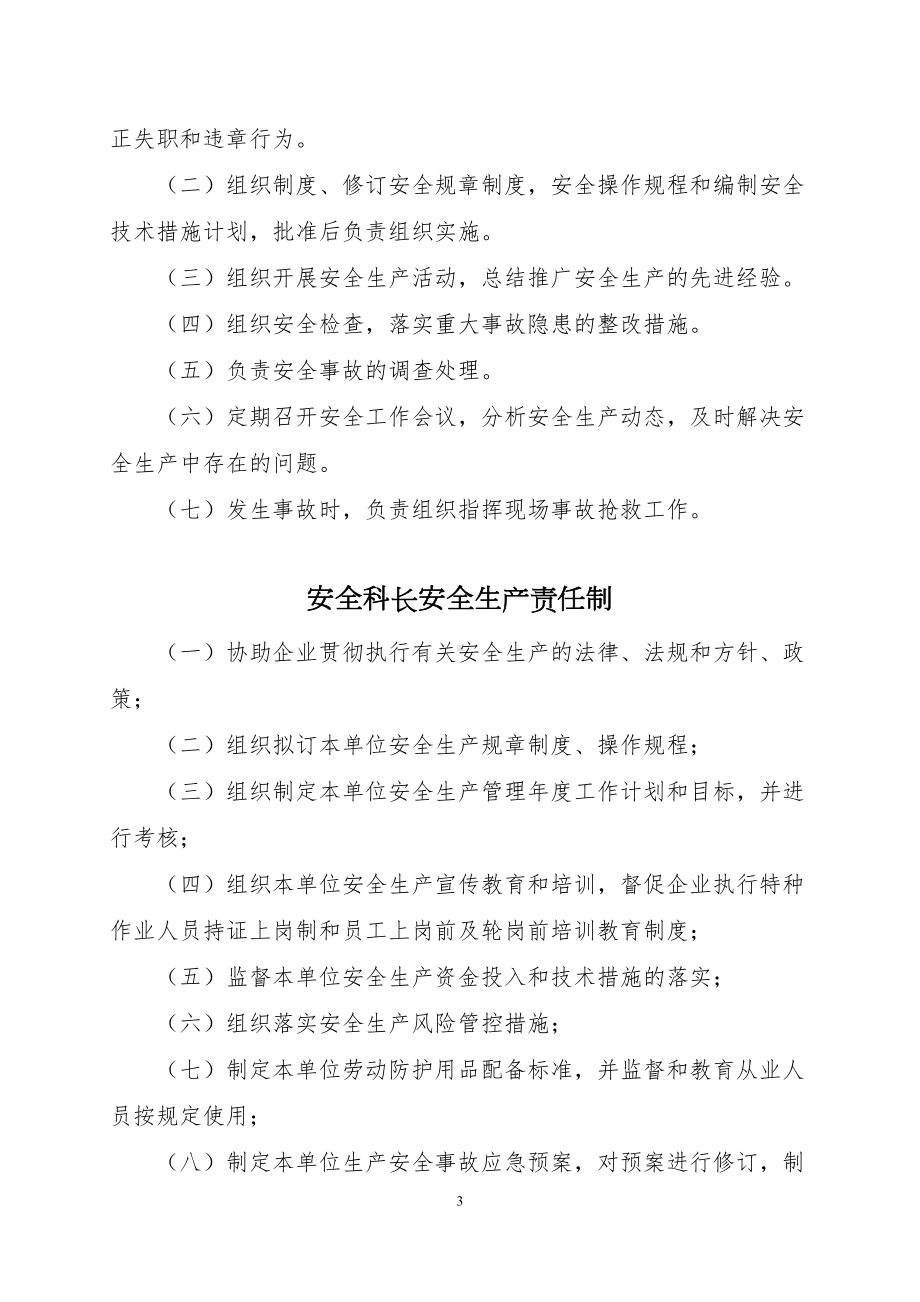 露天开采非煤矿山安全生产责任制度(DOC)(DOC 11页).doc_第3页