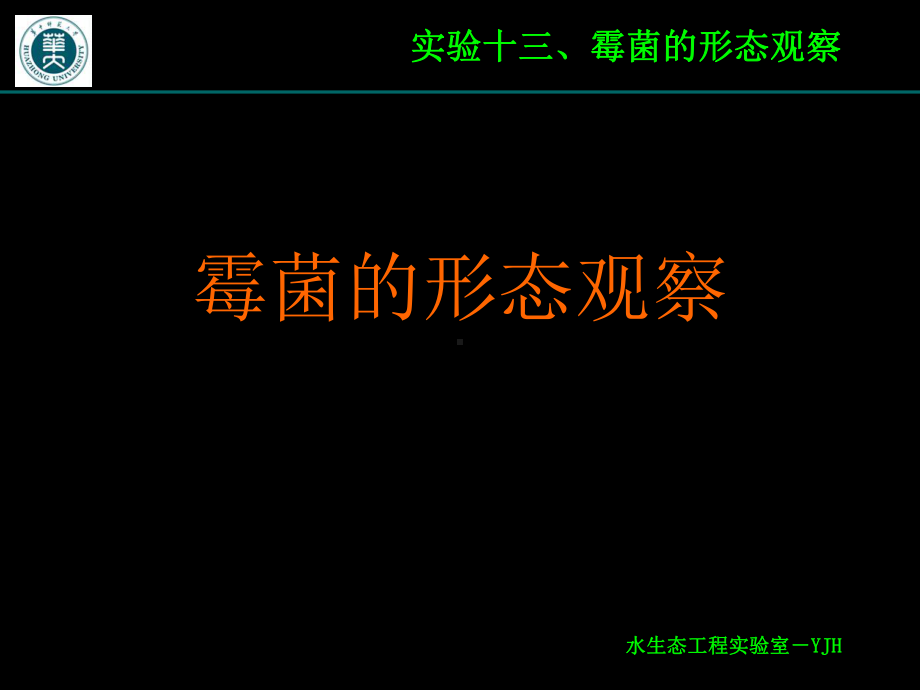 实验十三、霉菌形态观察课件.ppt_第1页