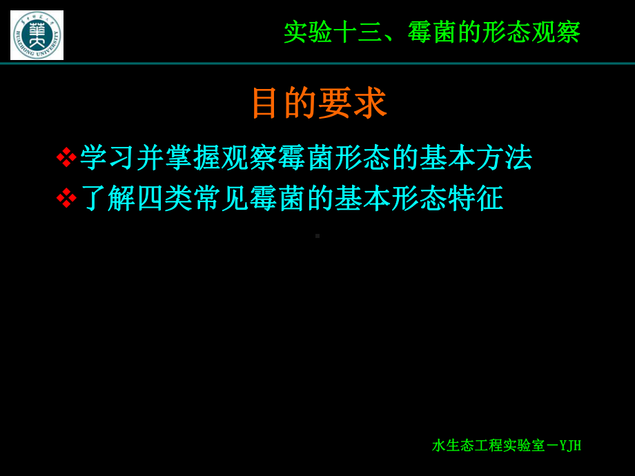 实验十三、霉菌形态观察课件.ppt_第2页