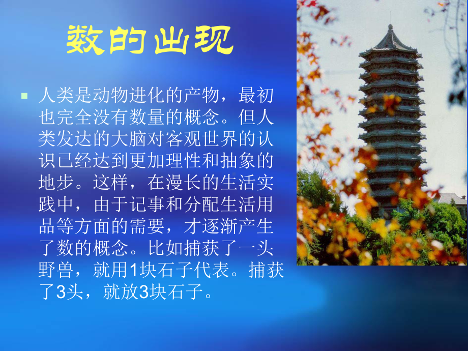 数的发展史-课件.ppt_第2页