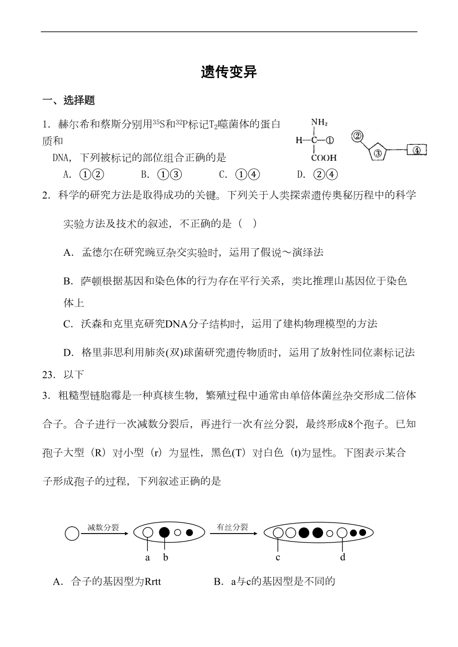 高考生物专题训练试题遗传变异(DOC 49页).doc_第1页