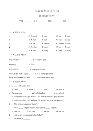 译林版小升初英语考试卷含答案(DOC 13页).docx