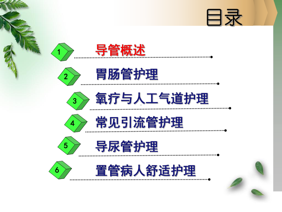 常见导管的护理教学课件.ppt_第2页