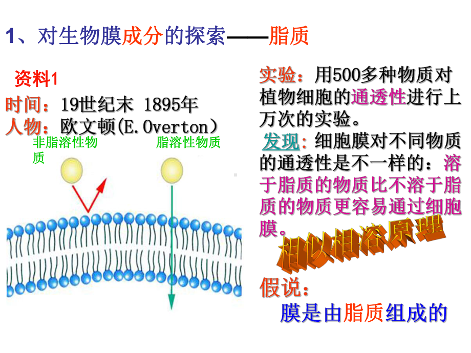 对生物膜结构的探索历程课件.ppt_第3页