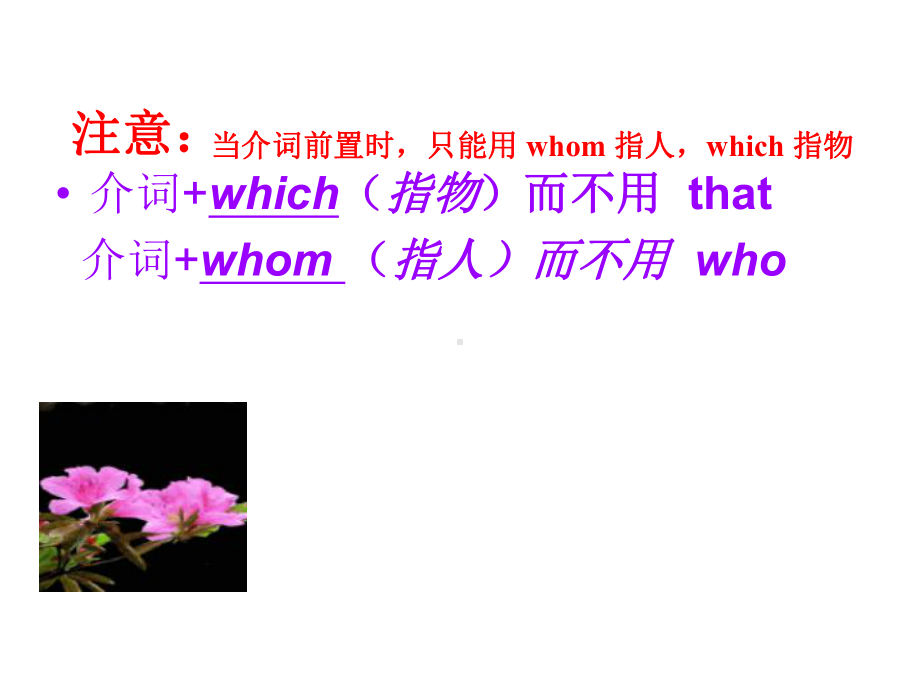 定语从句介词which介词课件.pptx_第3页