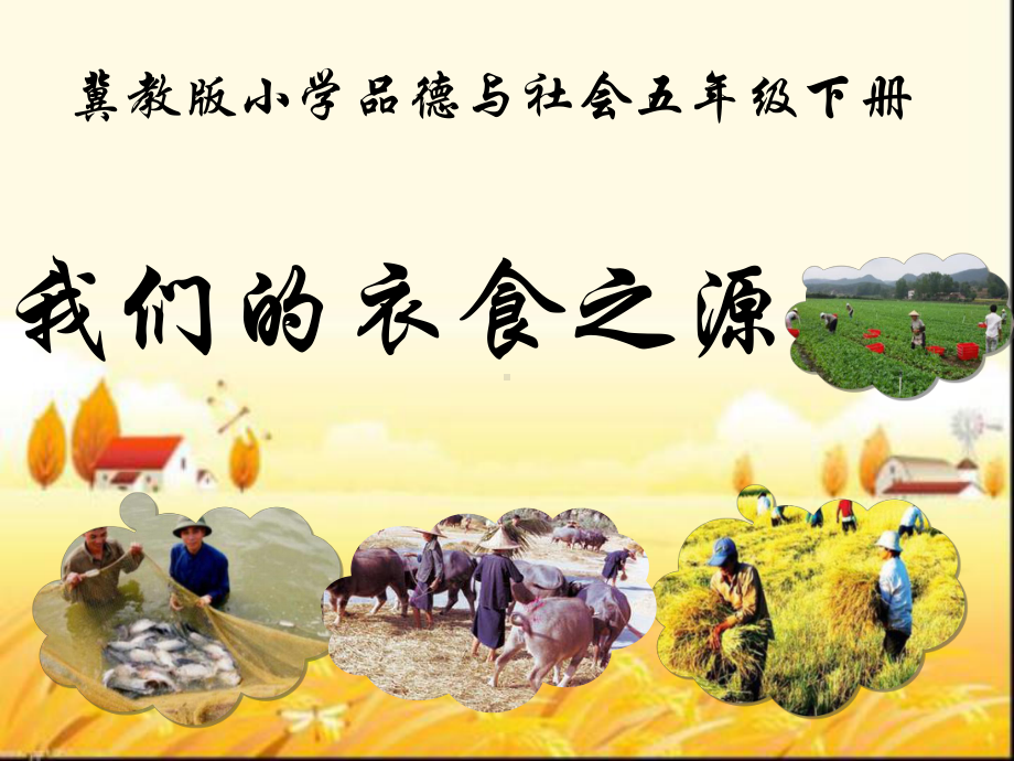 我们的衣食之源-课件.ppt_第1页