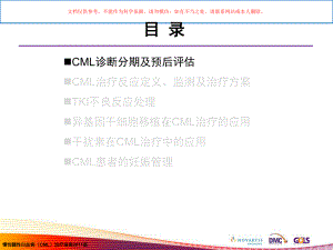 慢性髓性白血病(CML)诊疗指南培训课件.ppt