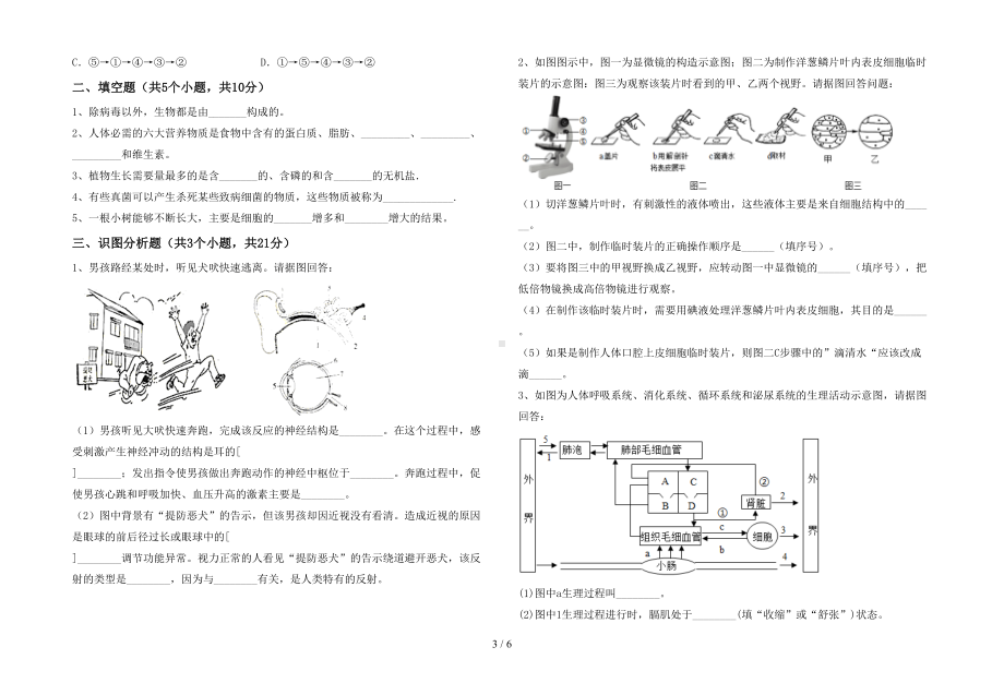 苏教版七年级生物下册期末试卷(完整版)(DOC 6页).doc_第3页