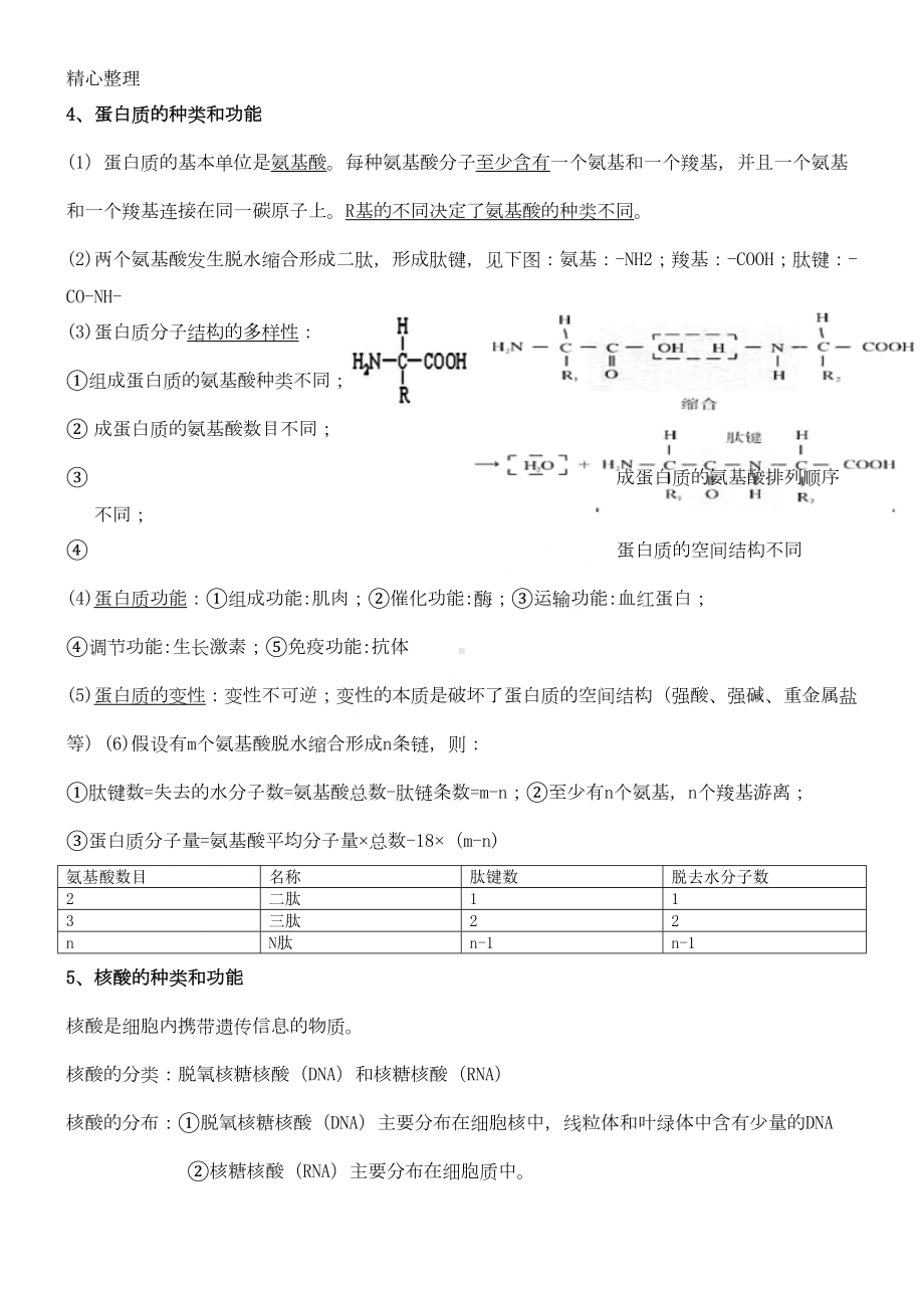 重点高中生物必修一知识点总结及习题精炼(DOC 4页).doc_第2页