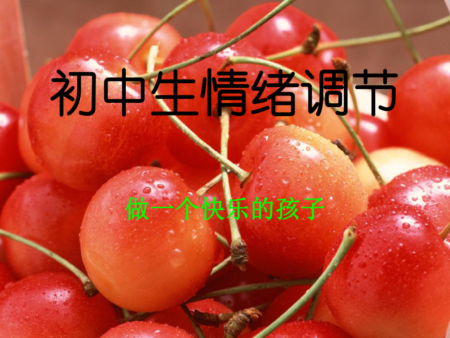 情绪调节教学设计课件.ppt_第1页