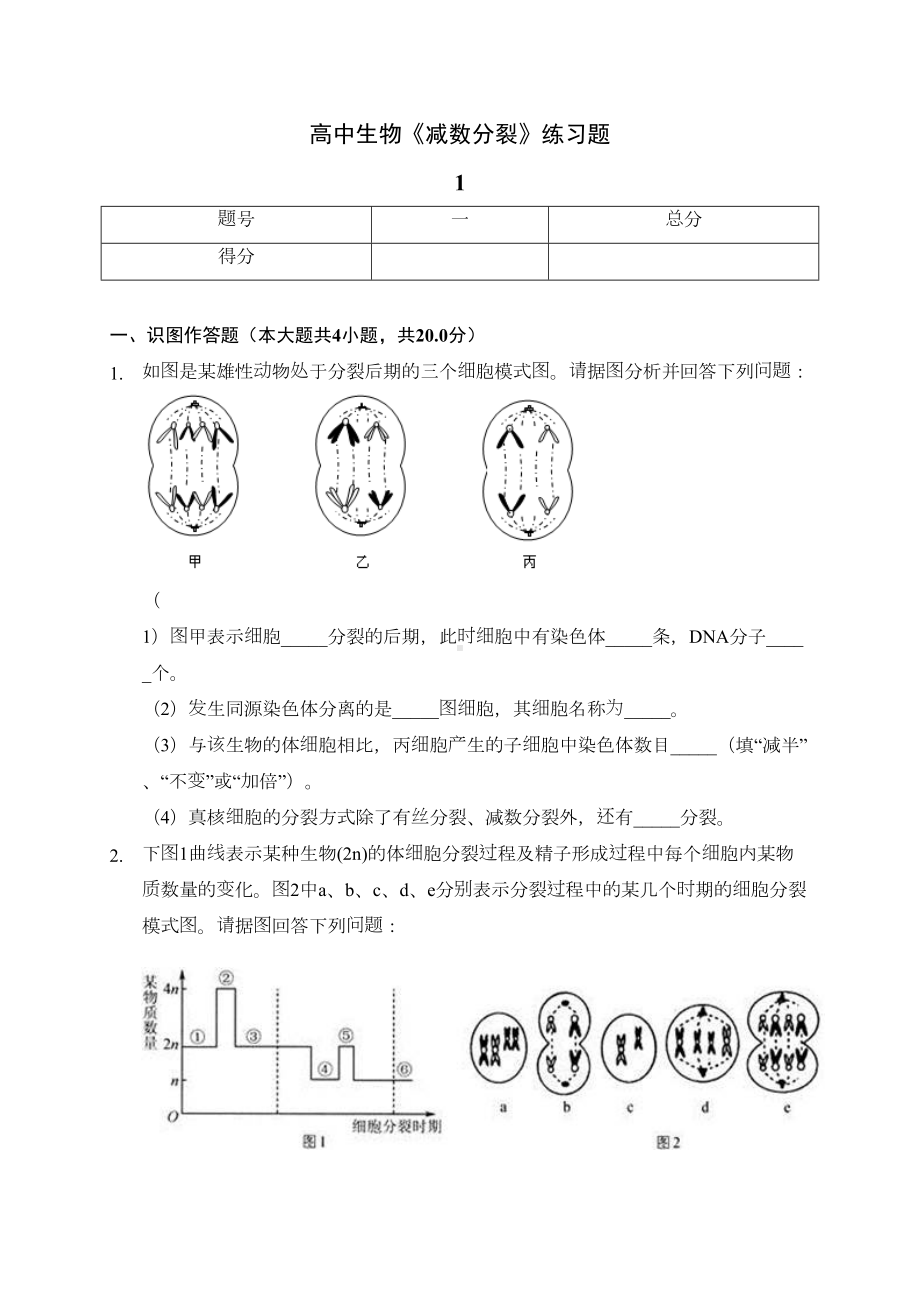 高中生物《减数分裂》练习题(含答案解析)(DOC 7页).docx_第1页