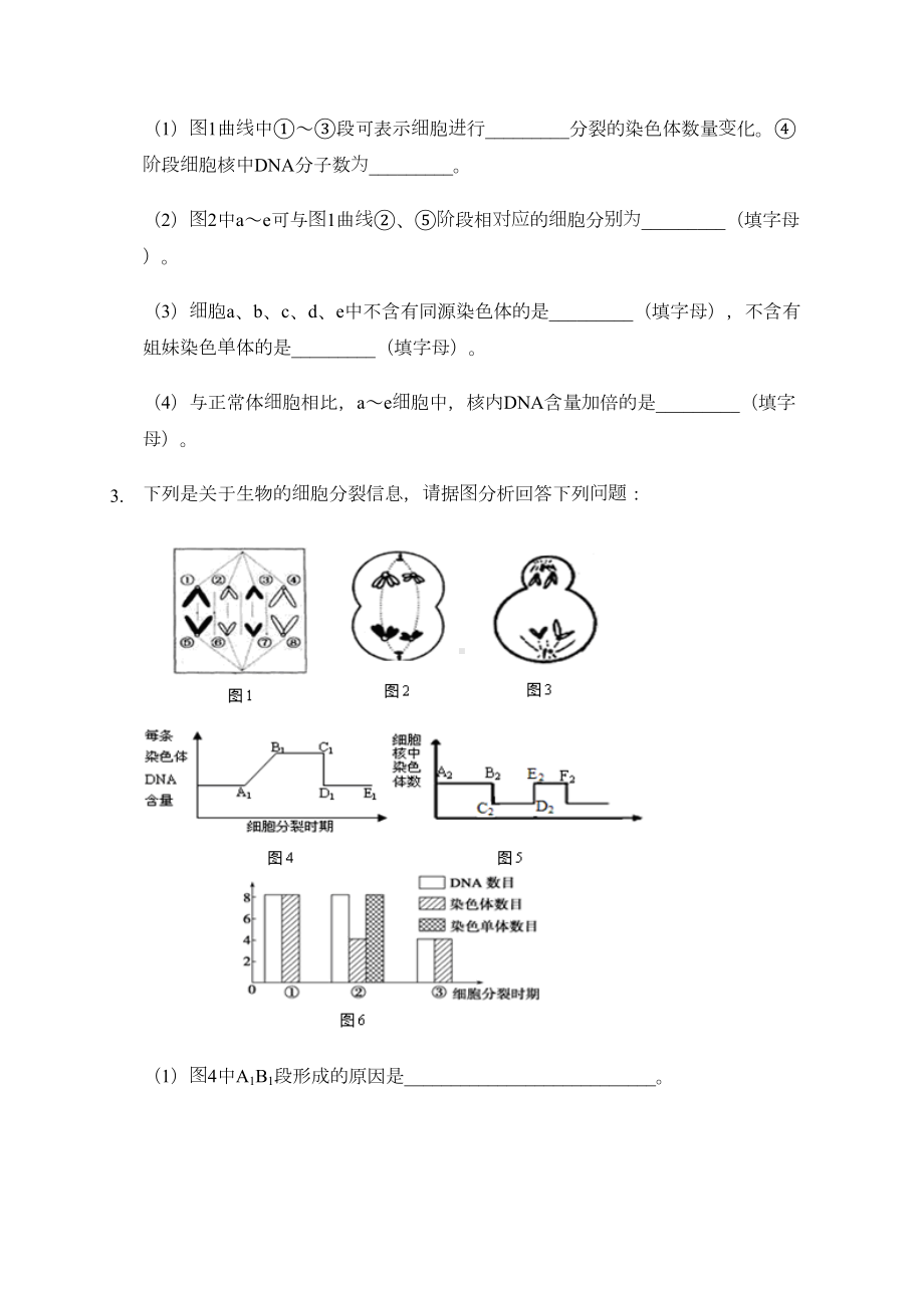 高中生物《减数分裂》练习题(含答案解析)(DOC 7页).docx_第2页