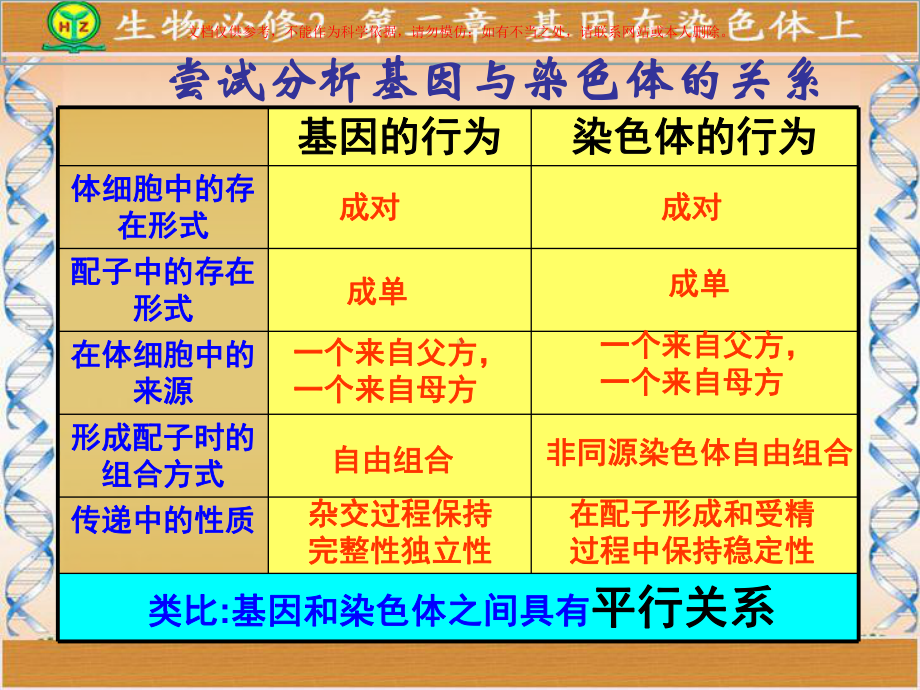 基因在染色体上公开课课件.ppt_第3页