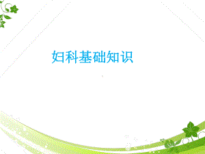 妇科基础知识-课件.ppt