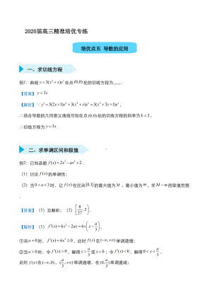 高三精准培优专练五-导数(理科)word版含答案(DOC 12页).docx