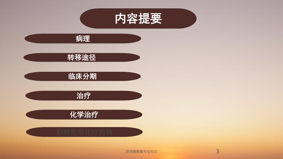 宫颈癌教案专业知识培训课件.ppt_第3页