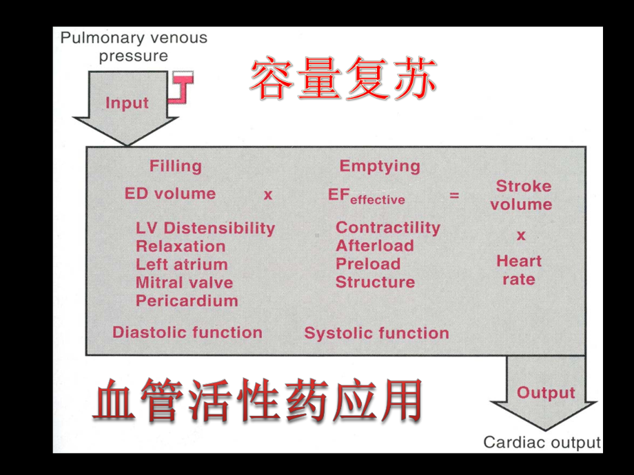 心血管活性药物的使用简述课件.ppt_第2页