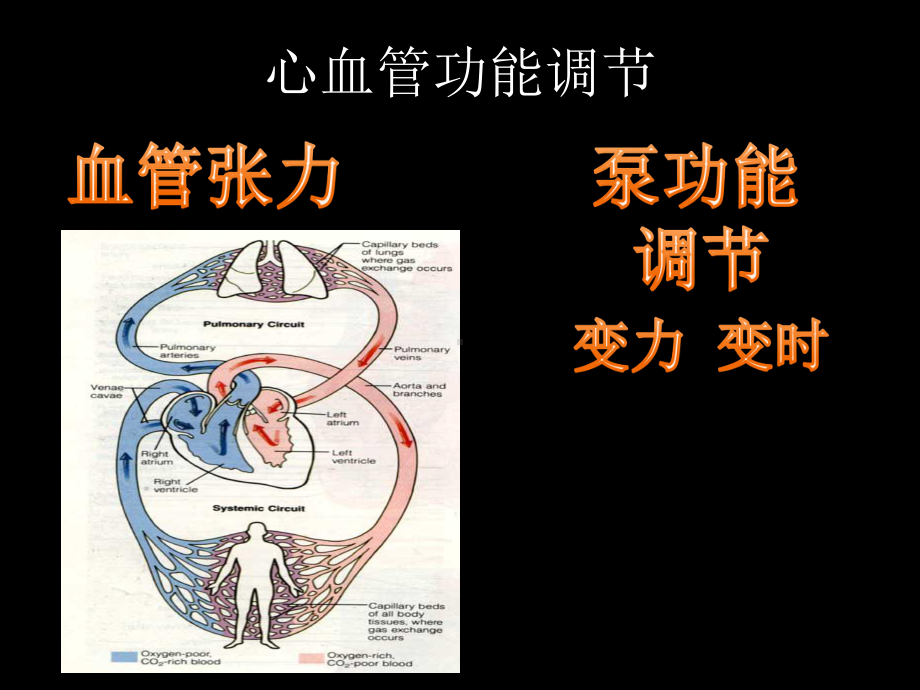 心血管活性药物的使用简述课件.ppt_第3页