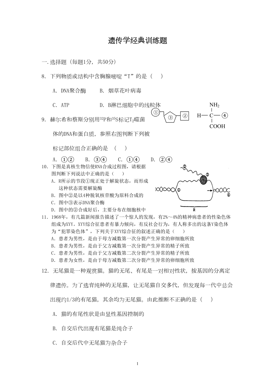 遗传经典试题(DOC 20页).doc_第1页