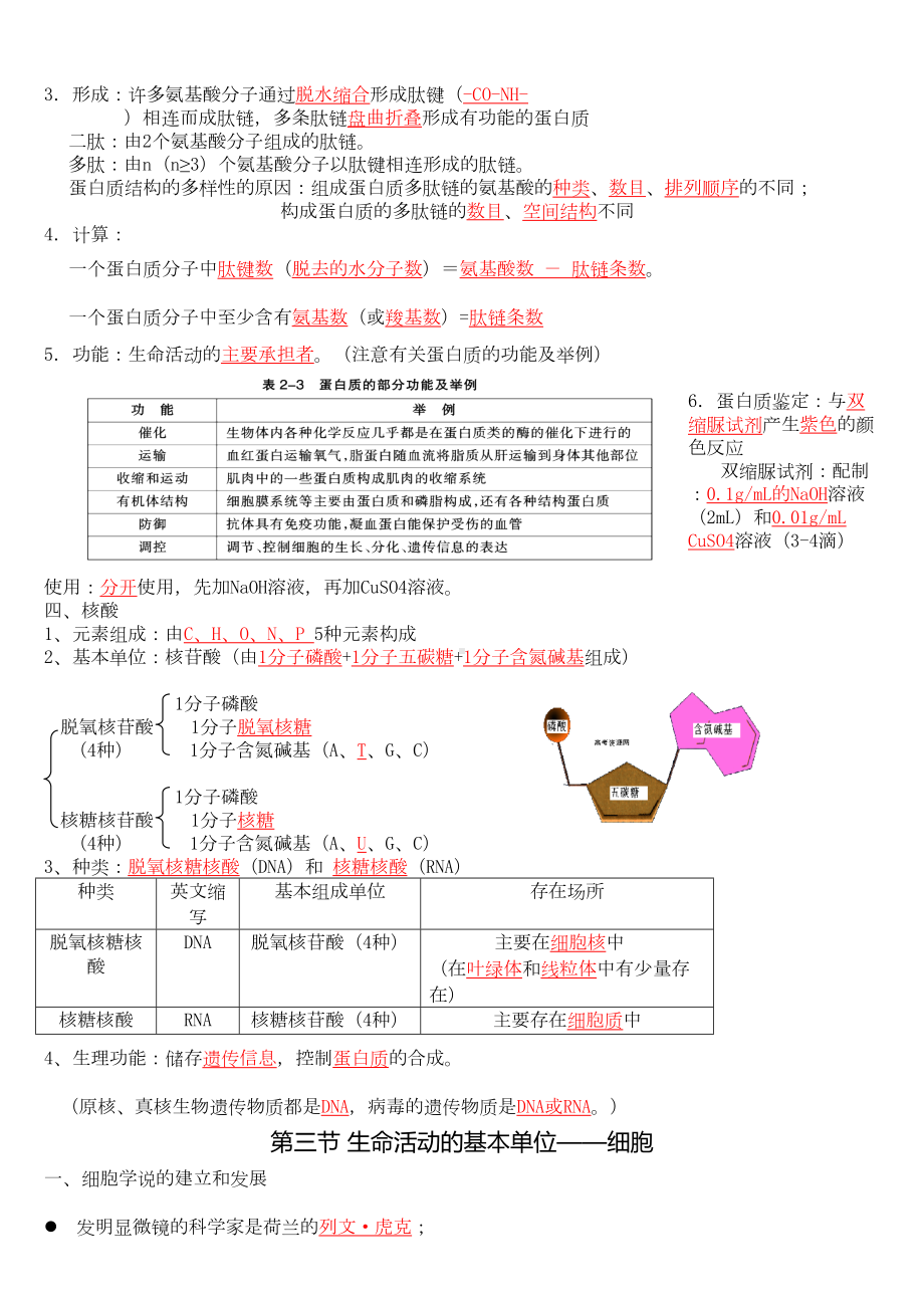 高中生物第一轮复习知识点汇总(DOC 10页).doc_第3页