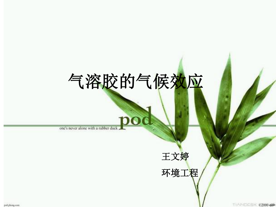 大气气溶胶的气候效应课件.ppt_第1页