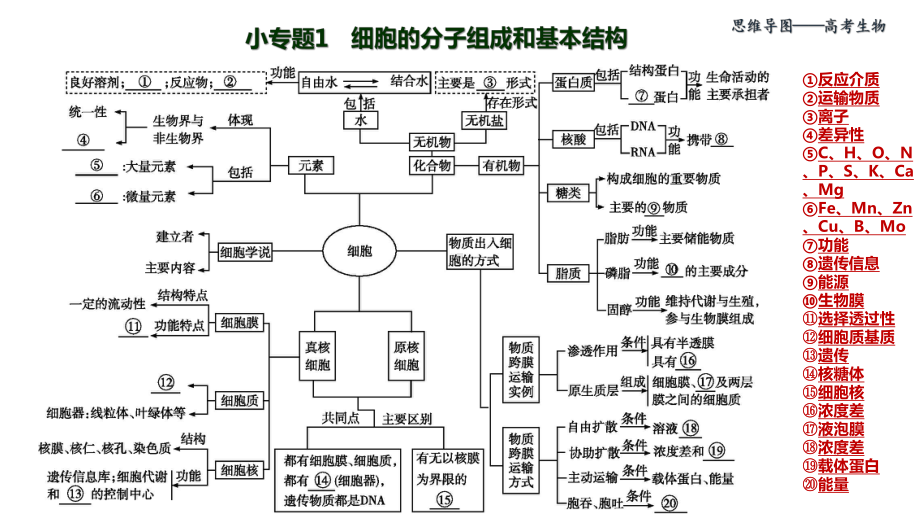 思维导图-高考生物小专题-细胞的分子组成和基本结课件.pptx_第2页