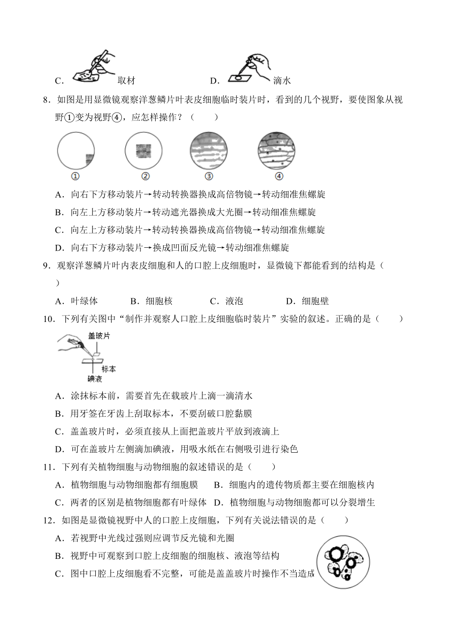 苏教版生物七年级上册第三章《细胞是生命活动的基本单位》复习题(解析版)(DOC 19页).doc_第2页