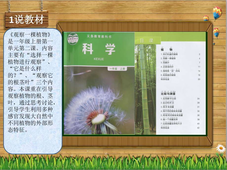 小学科学《观察一棵植物》课件.pptx_第3页