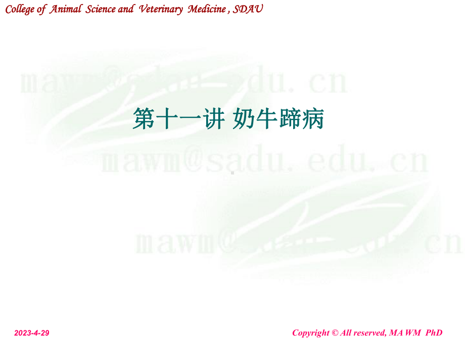 动物外科学-奶牛蹄病课件.ppt_第1页