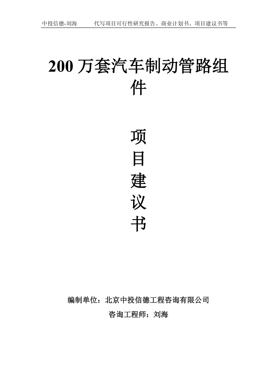 200万套汽车制动管路组件项目建议书-写作模板.doc_第1页