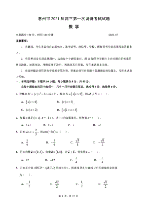 广东省惠州市2021届高三第一次调研考试数学试题(含答案和解析)(DOC 17页).docx